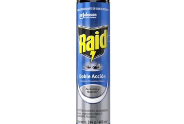Raid Spray Doble Accion 400 Ml