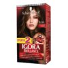 Igora Brilla Kit 606 Ofe2Tub Chocin