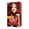 Igora Brilla Kit 589I Ofe2Tub Rojo B