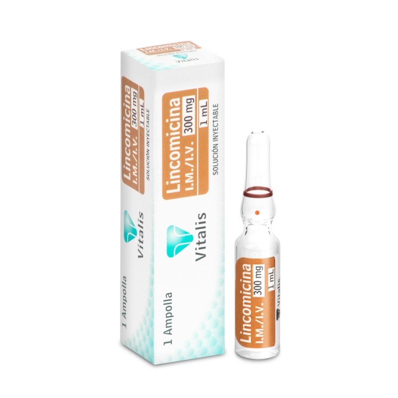 Lincomicina 300Mg/1Ml 1 Ampolla Vt