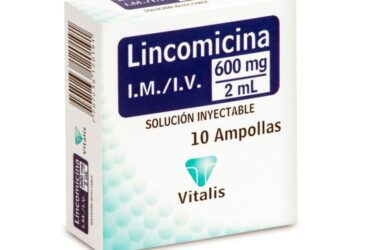 Lincomicina 600 Mg/2Ml 10 Ampollas Vt