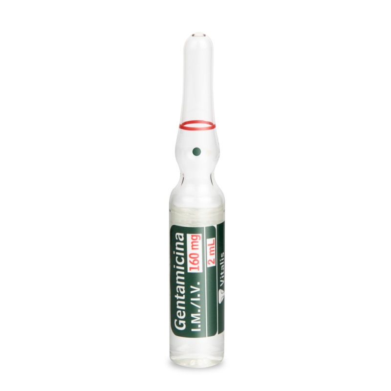 Gentamicina 160 Mg/2 Ml 10 Ampollas Vt