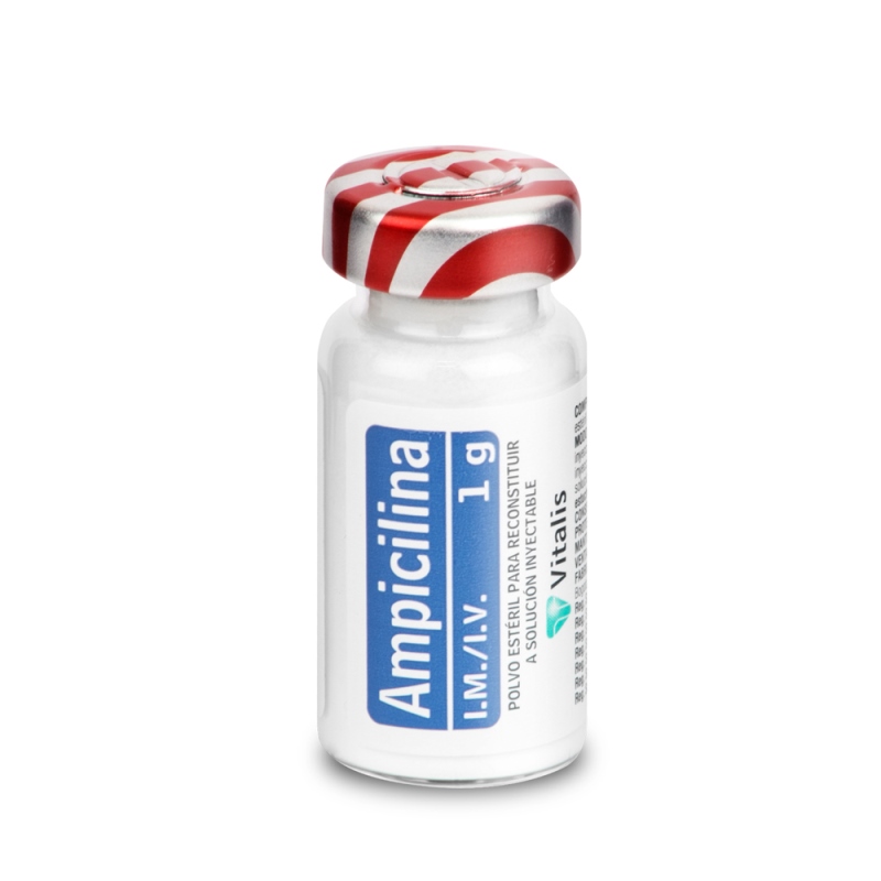 Ampicilina 1 Gr 1 Ampolla Vt